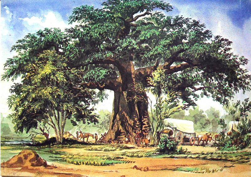 Thomas Baines Baobab Tree oil painting image